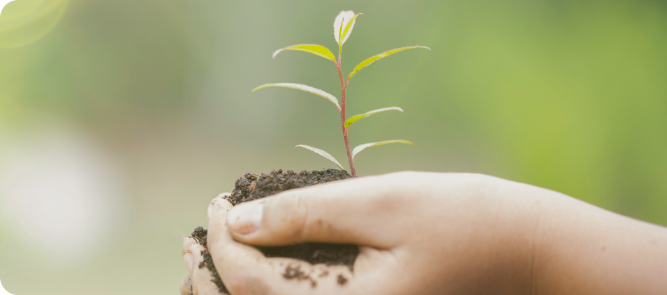 Sustainability