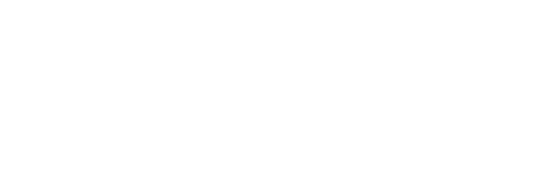 Emtel Business